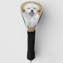 Buscar lasa Apso