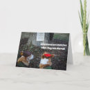 Buscar robin hood tarjetas Petardo