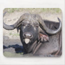 Buscar conservación alfombrillas de raton Naturaleza