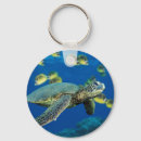 Buscar tortuga verde llaveros Animales
