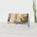 Buscar diaria tarjetas General y unisex