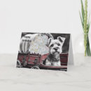 Buscar terrieres tarjetas Perros