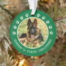 Buscar mascota memoriales Animales