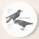 Buscar cuervo posavasos Corvid