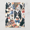 Buscar border collie postales Red de área fronteriza