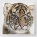 Buscar tiger relojes de pared Nature