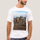 Buscar vacas camisetas Ganado