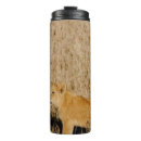Buscar lion tazas Salvaje