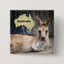 Buscar kangaroo chapas Animales