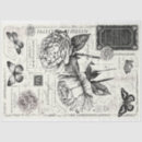 Buscar mariposa blanca papel de seda Vintage