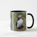 Buscar frailecillos tazas Atlántico