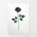 Buscar color de rosa gótico tarjetas Negro