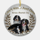 Buscar embutidoras de la media decoracion Perro