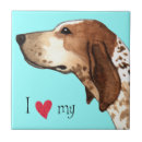Buscar american azulejos Perro