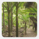 Buscar helecho pegatinas Selva