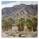 Buscar bici azulejos Día