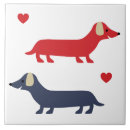 Buscar patas del perro azulejos Amor