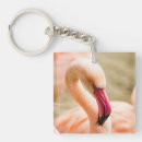 Buscar flamenco rosado llaveros Pájaro