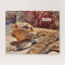 Buscar barbas puzzles Reptil