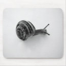Buscar caracol alfombrillas de raton Animal
