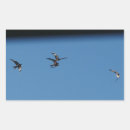 Buscar pájaros en vuelo pegatinas Volante