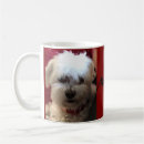 Buscar perro de aguas tazas Café
