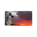 Buscar pastor alemán etiquetas Animales