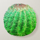 Buscar cactus espinoso cojines Planta