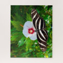 Buscar cebra puzzles Vida silvestre