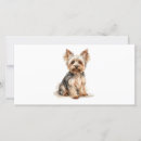 Buscar yorkshire tarjetas Cachorro