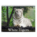 Buscar tigre calendarios Grandes gatos