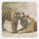 Buscar rajasthan pegatinas Asiático