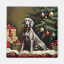 Buscar weimaraner imanes Perro de weimaraner