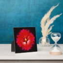 Buscar mandalas placas fotograbadas Boho