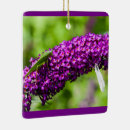 Buscar arbusto adornos Flores