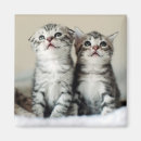 Buscar mascota imanes Animales lindos