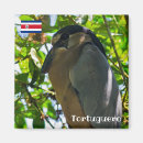 Buscar tropical imanes Naturaleza