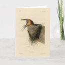 Buscar tragos tarjetas Golondrina