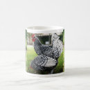 Buscar gallina del gallo tazas Para ella