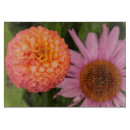 Buscar calabaza tablas cortar Jardín