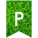 Buscar de irlanda banderines General y unisex