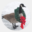 Buscar gansos canadienses pegatinas Animal