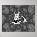 Buscar perro blanco y negro posters General y unisex
