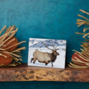 Buscar yellowstone placas fotograbadas Toro