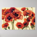Buscar amapolas rojas posters Flores