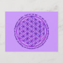 Buscar flor violeta postales Para todos
