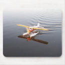 Buscar castor electronica Lago