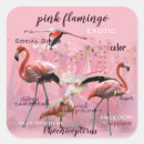 Buscar modificado pegatinas Rosa