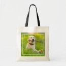 Buscar bota bolsos Perro