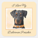 Buscar pinscher del doberman pegatinas Para todos